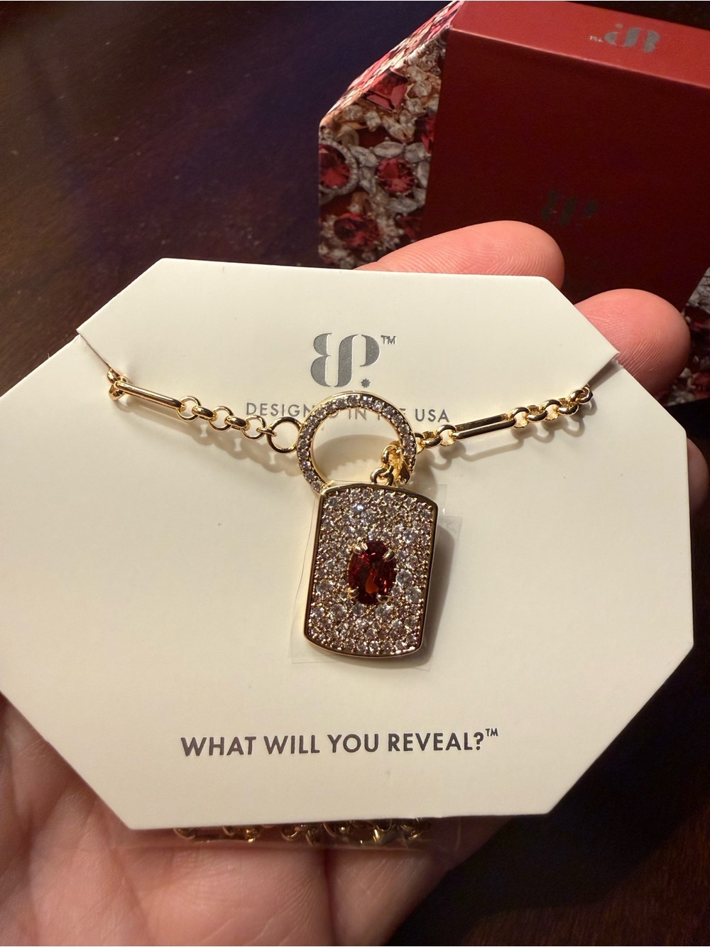 Bomb Party January 2026 Open Secret Necklace